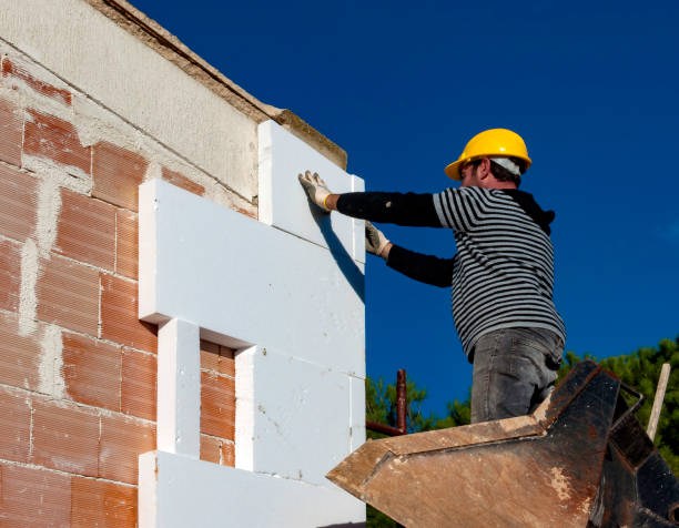 Best Insulation Installation Services in Royalton, IL