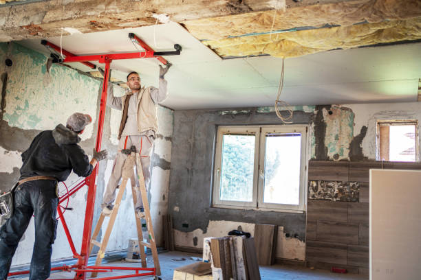 Best Insulation Installation Services in Royalton, IL